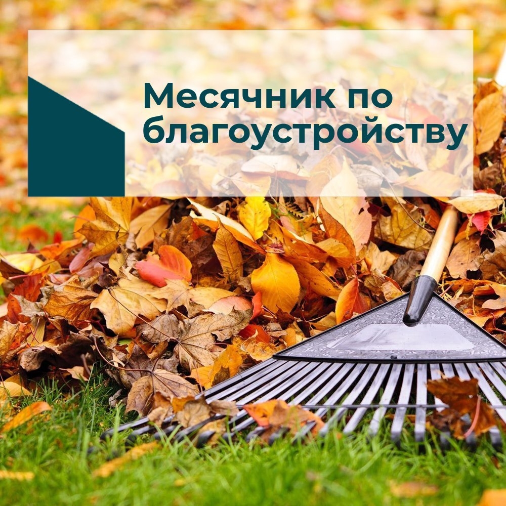 2YOhL9f_месячник_по_благоустройству_картинка.jpg