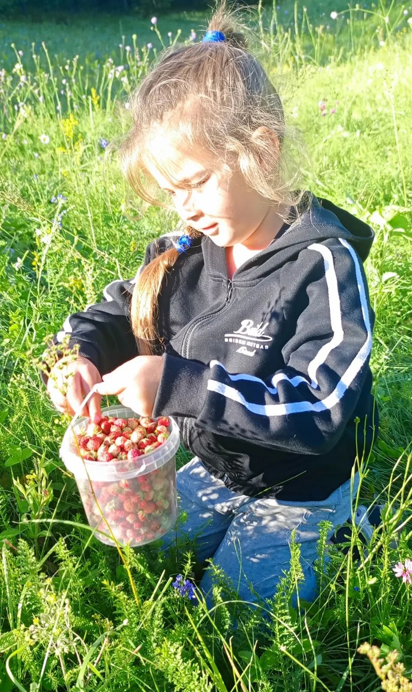 EqJ7kzLTKxgZxUGK4eQIi4_кто_куда_а_мы_за_ягодой_на_варенье_Лето_2026г.jpg