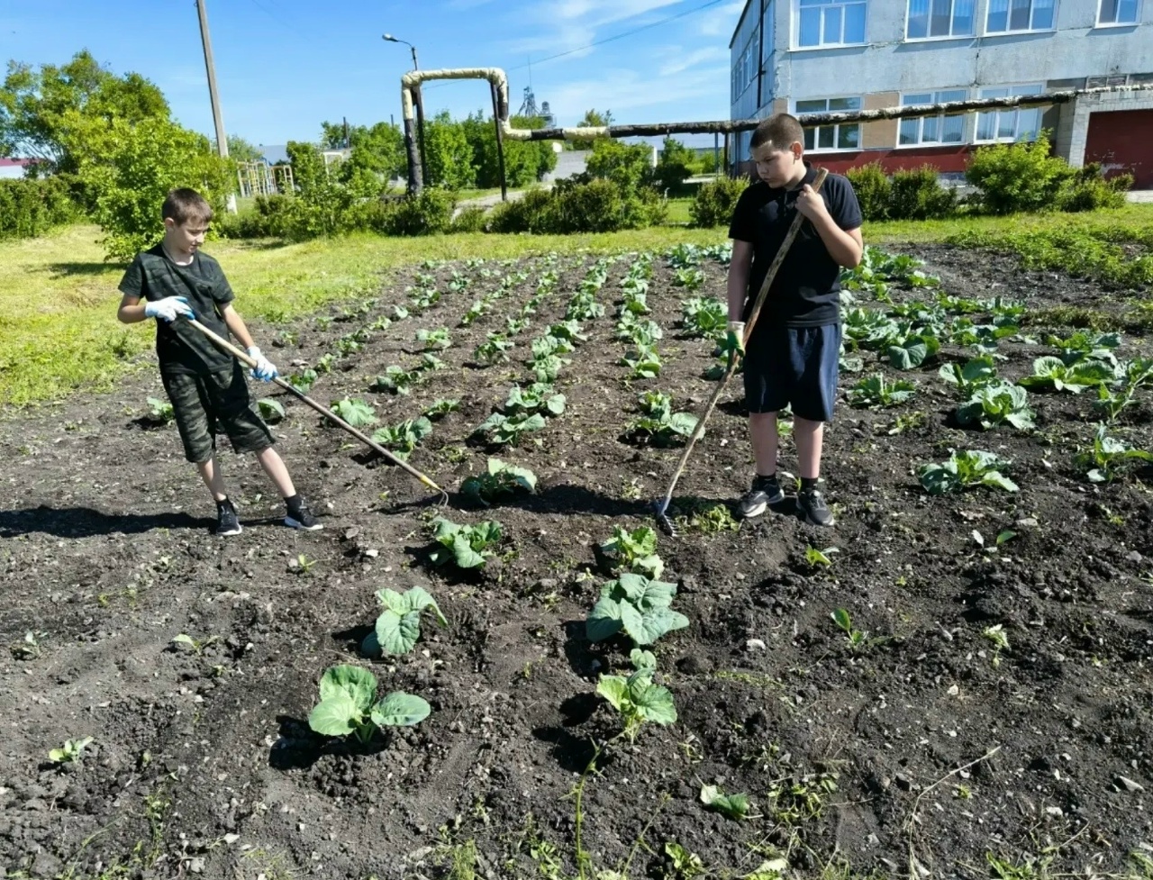 mw3Nrc_2KABRAmsHHLiG7d_6wMEEB6EEf1Y9uSKPVT3ZRUTc3h8hu4jkuQvcye4cNRroRJEpckSgUDiS8qfYuIGl.jpg