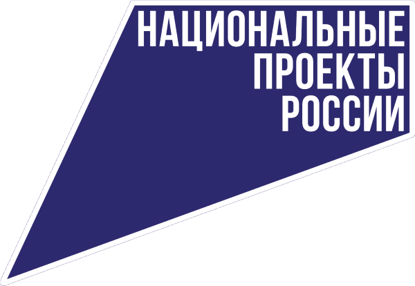 natsproekty-logo-logo.png